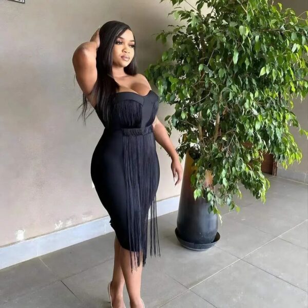 C531 tassel Design Bandage Dress